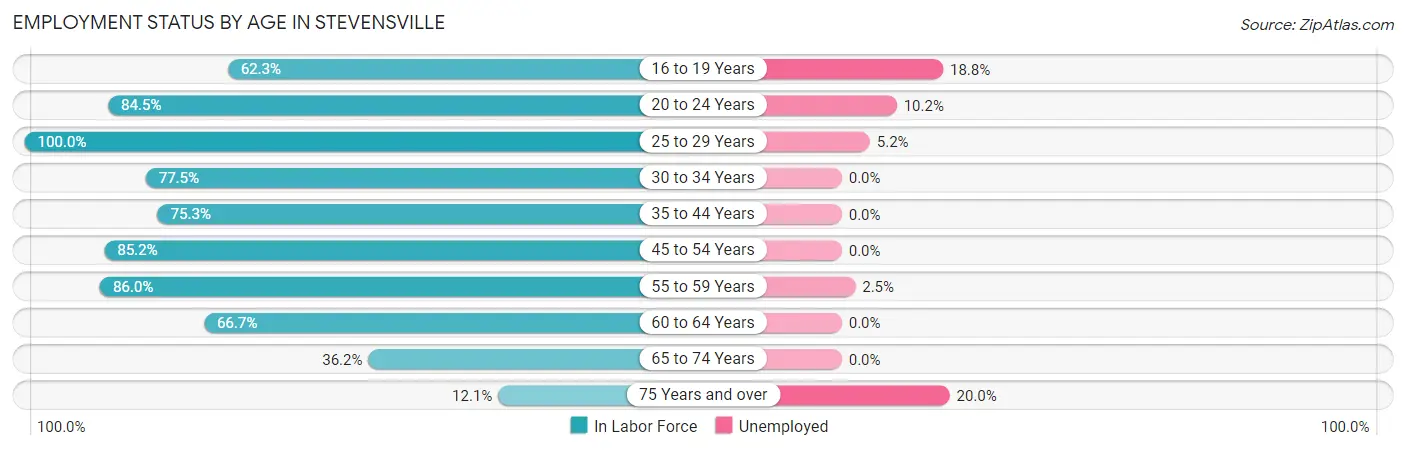 Employment Status by Age in Stevensville