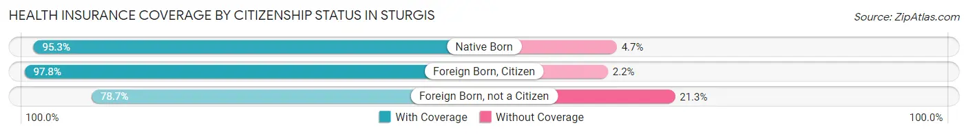 Health Insurance Coverage by Citizenship Status in Sturgis