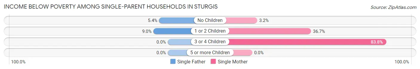 Income Below Poverty Among Single-Parent Households in Sturgis