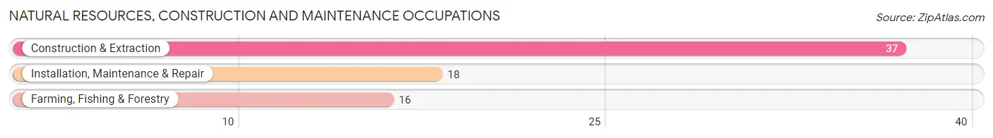 Natural Resources, Construction and Maintenance Occupations in Tawas City