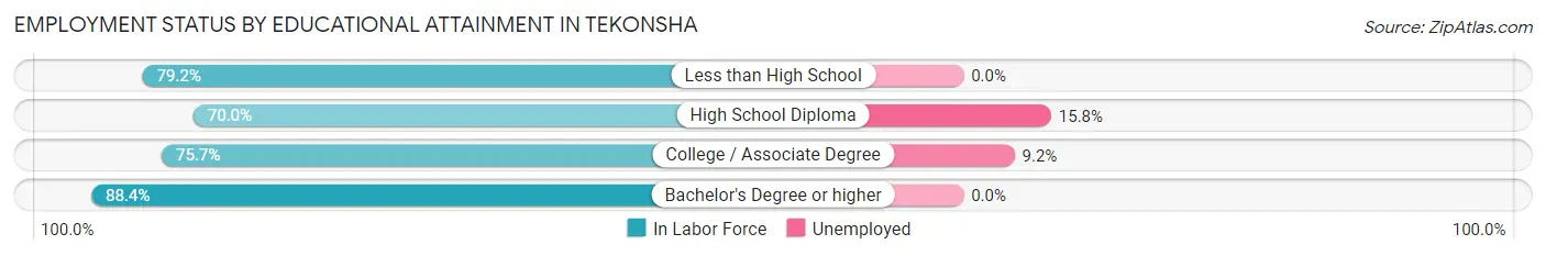 Employment Status by Educational Attainment in Tekonsha