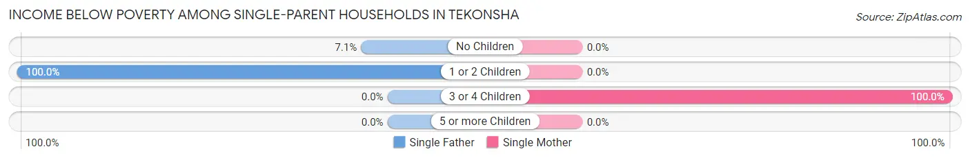 Income Below Poverty Among Single-Parent Households in Tekonsha