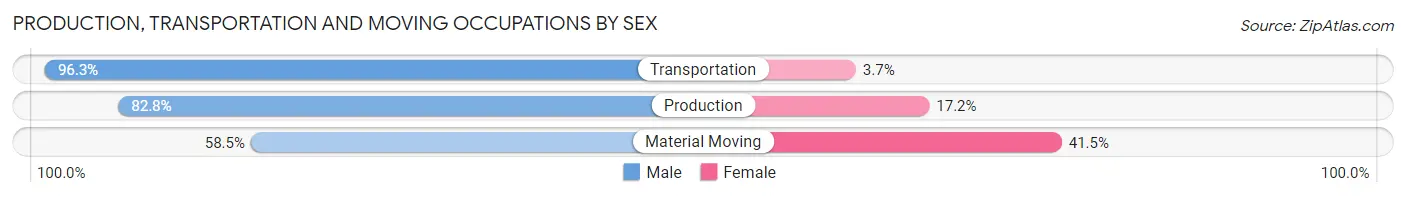 Production, Transportation and Moving Occupations by Sex in Temperance