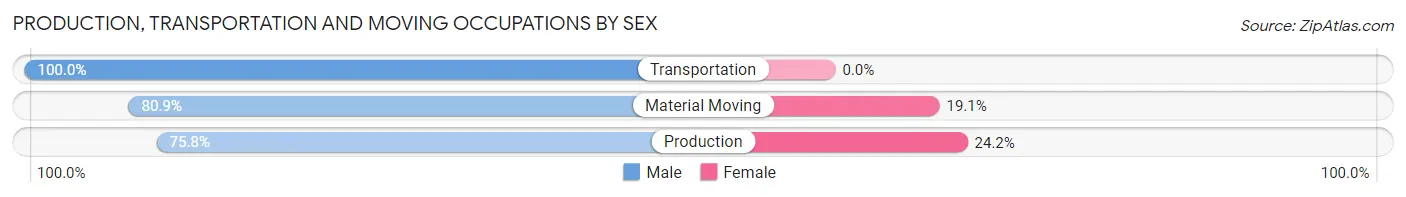 Production, Transportation and Moving Occupations by Sex in Traverse City