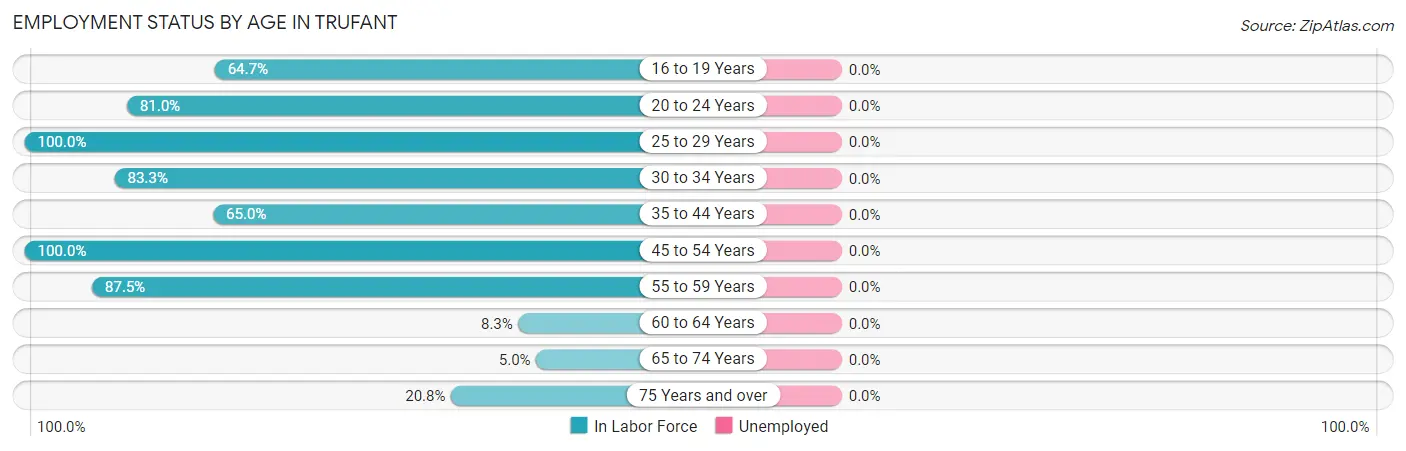 Employment Status by Age in Trufant