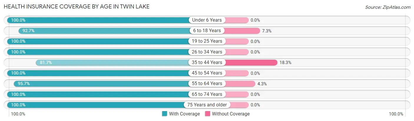 Health Insurance Coverage by Age in Twin Lake