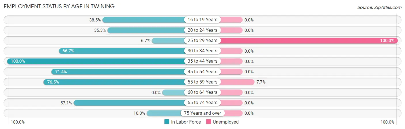 Employment Status by Age in Twining