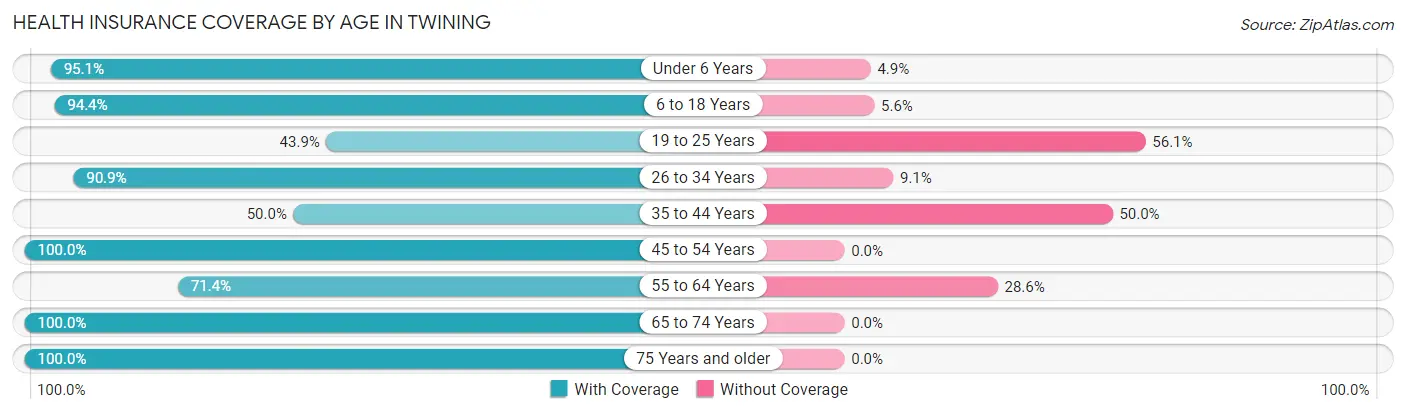 Health Insurance Coverage by Age in Twining