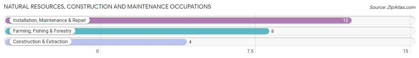 Natural Resources, Construction and Maintenance Occupations in Twining