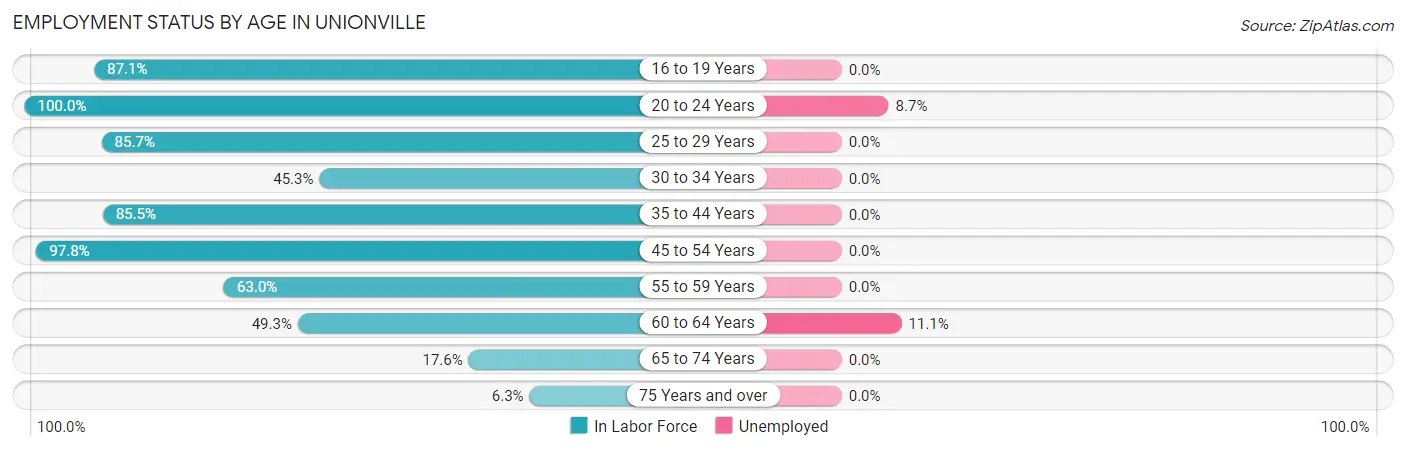 Employment Status by Age in Unionville