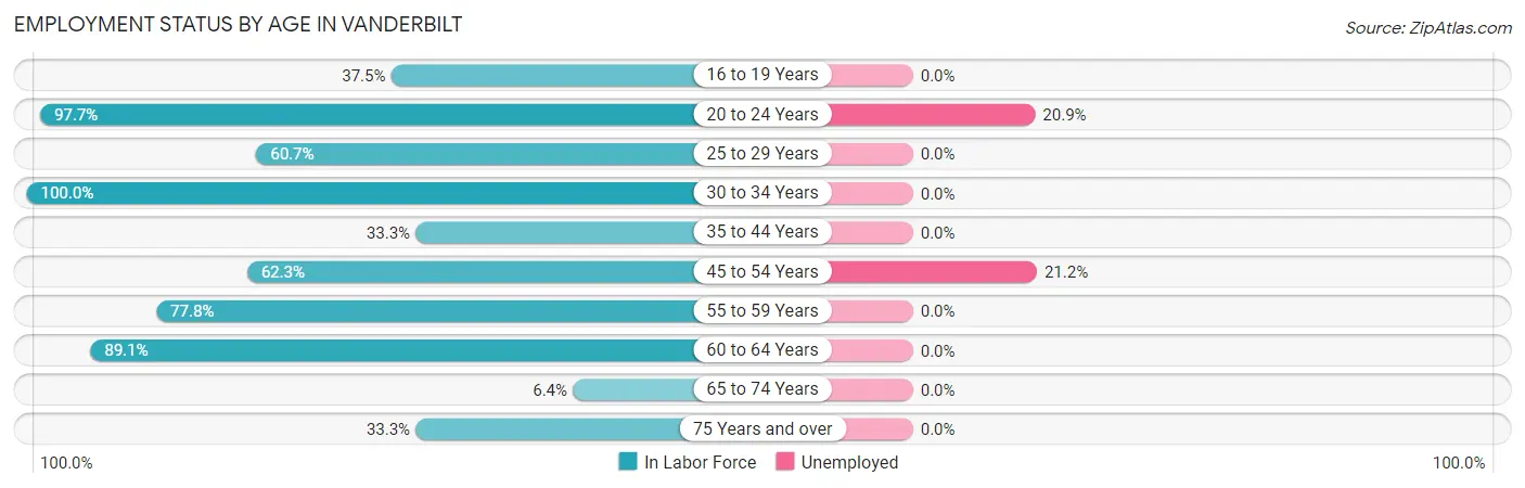Employment Status by Age in Vanderbilt