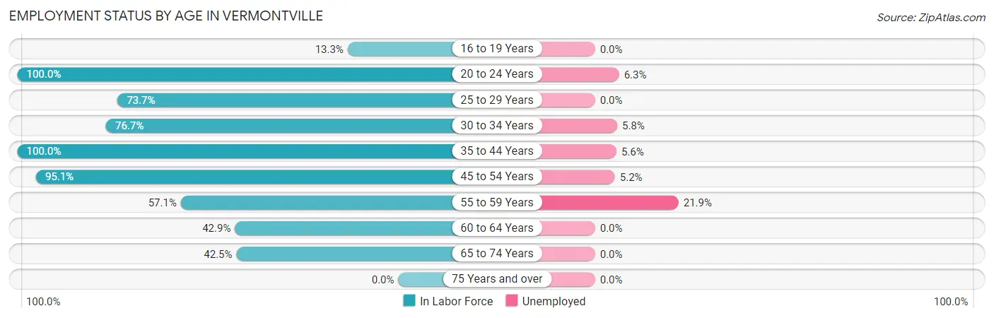 Employment Status by Age in Vermontville