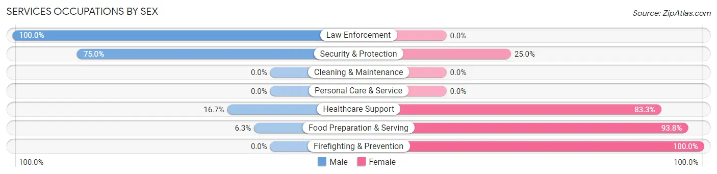Services Occupations by Sex in Vermontville