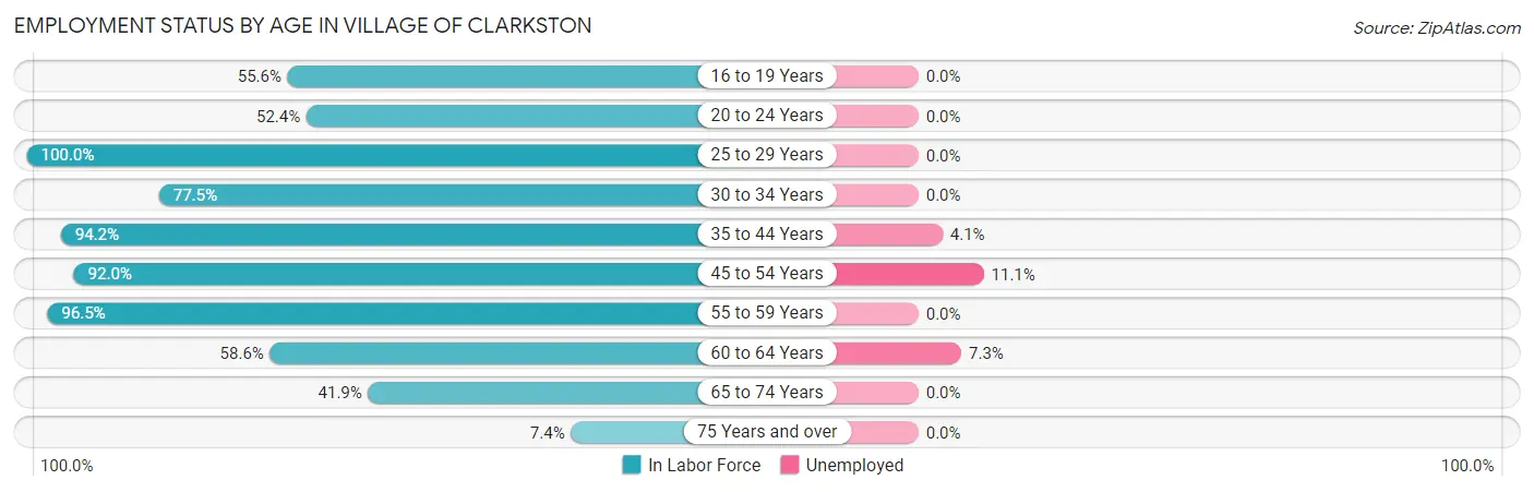 Employment Status by Age in Village of Clarkston