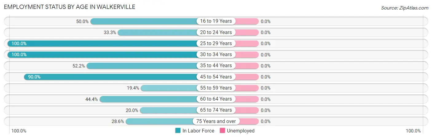 Employment Status by Age in Walkerville