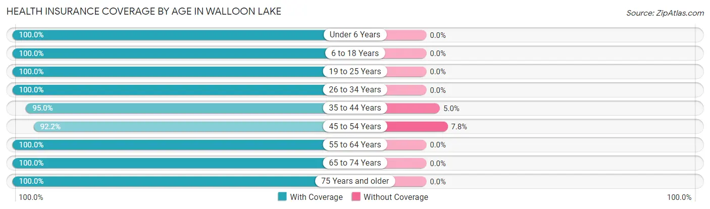 Health Insurance Coverage by Age in Walloon Lake
