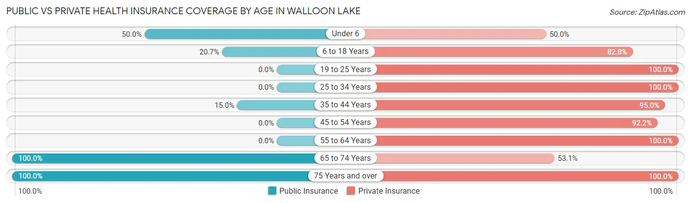 Public vs Private Health Insurance Coverage by Age in Walloon Lake