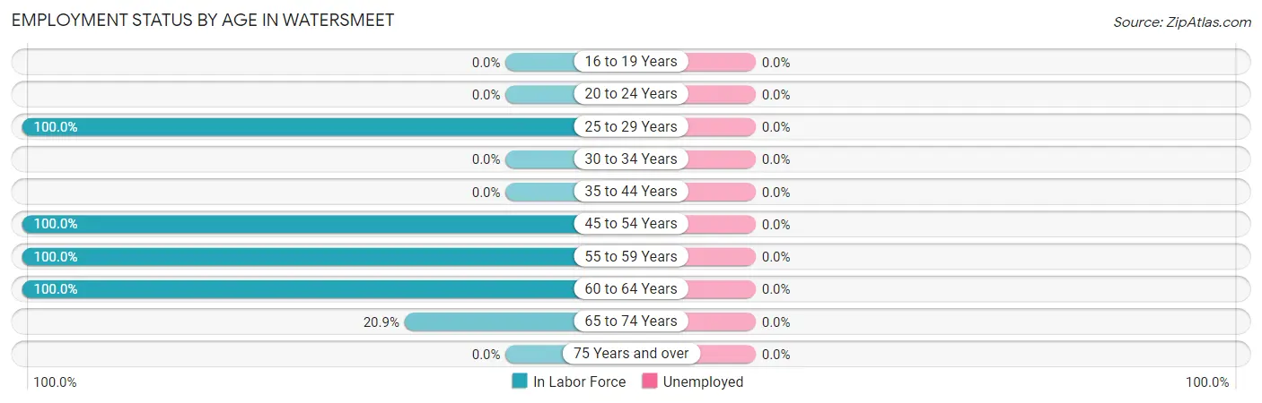 Employment Status by Age in Watersmeet