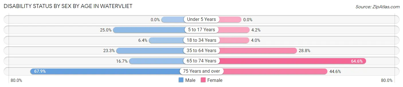 Disability Status by Sex by Age in Watervliet