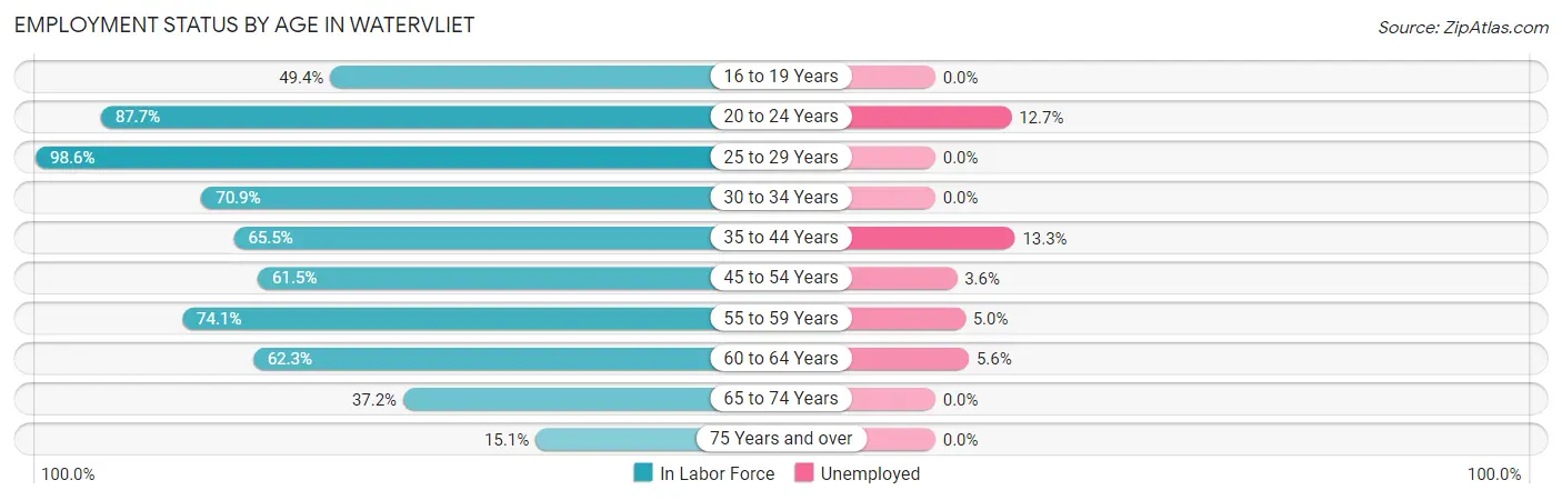 Employment Status by Age in Watervliet