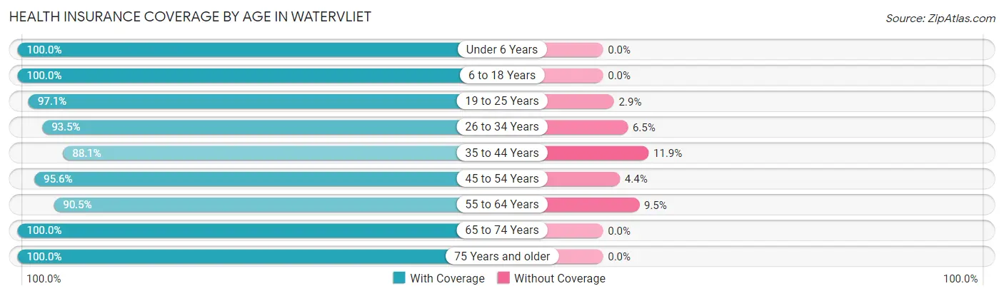 Health Insurance Coverage by Age in Watervliet