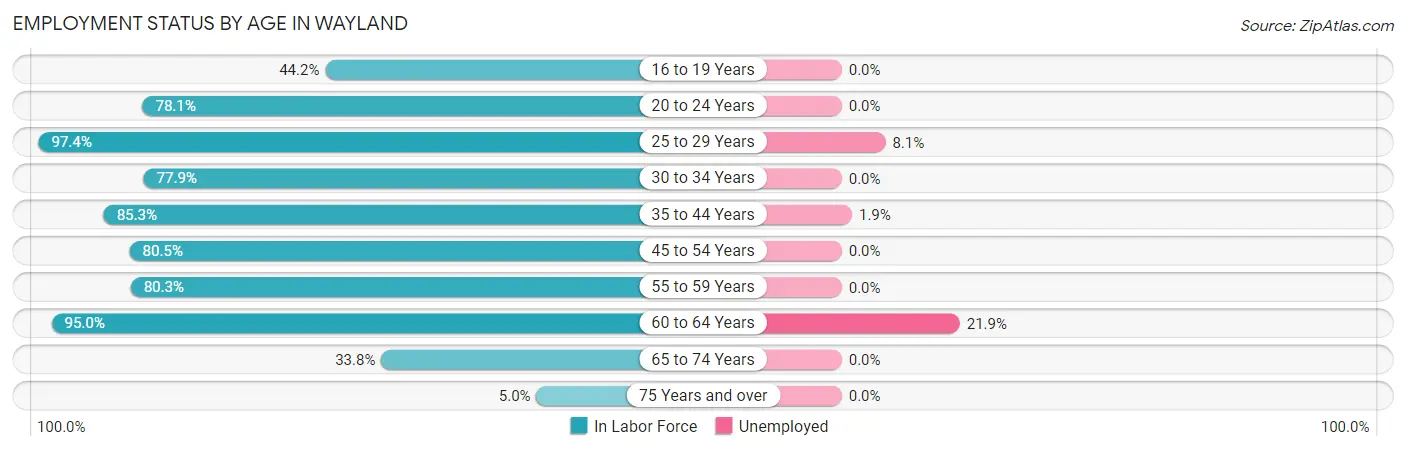 Employment Status by Age in Wayland