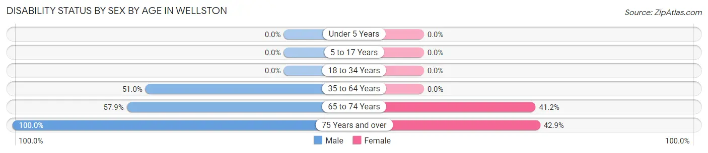 Disability Status by Sex by Age in Wellston