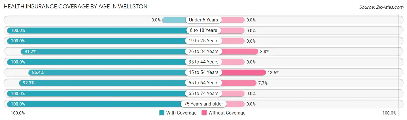 Health Insurance Coverage by Age in Wellston