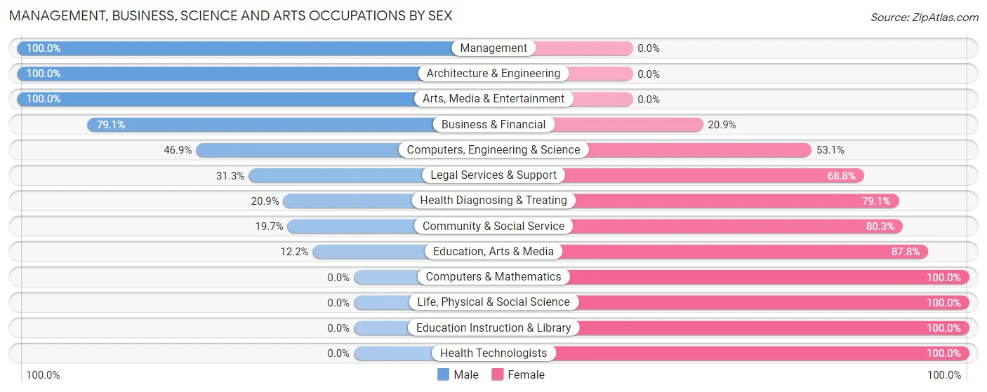 Management, Business, Science and Arts Occupations by Sex in West Ishpeming