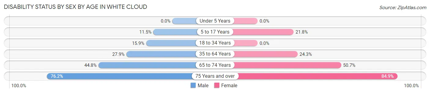 Disability Status by Sex by Age in White Cloud