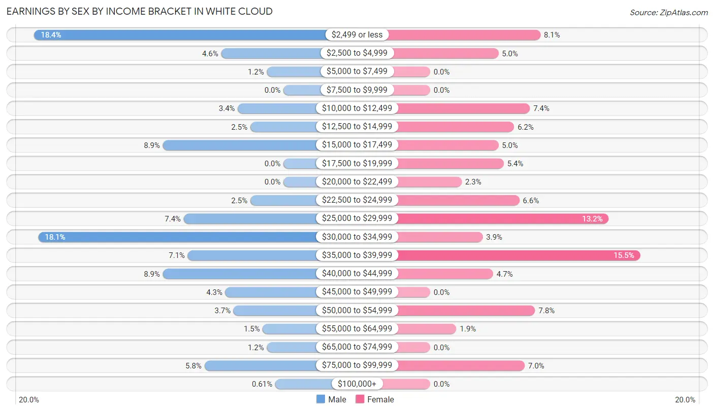 Earnings by Sex by Income Bracket in White Cloud