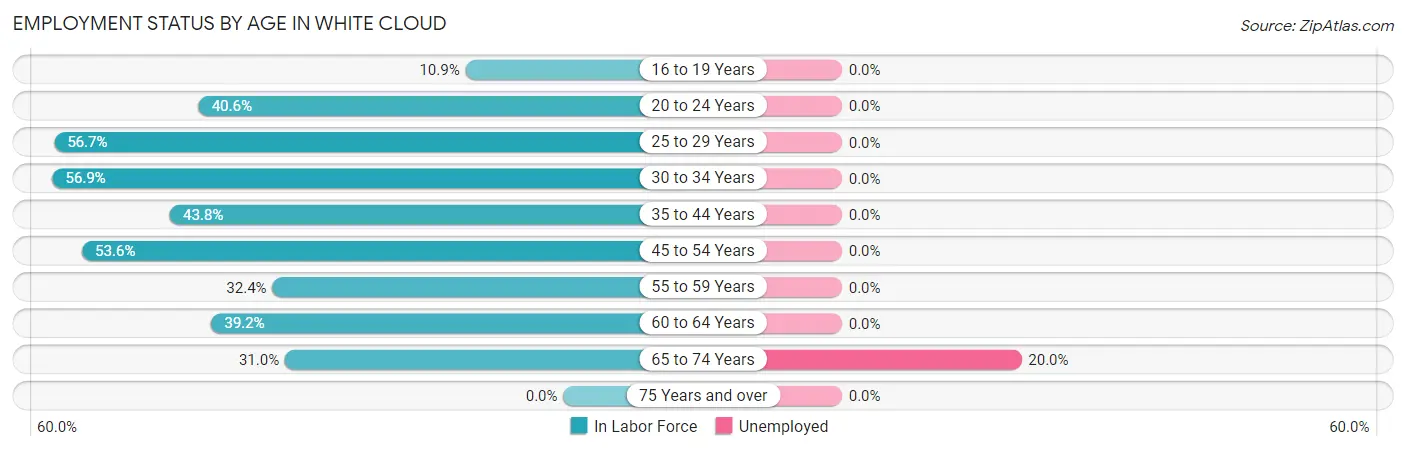 Employment Status by Age in White Cloud