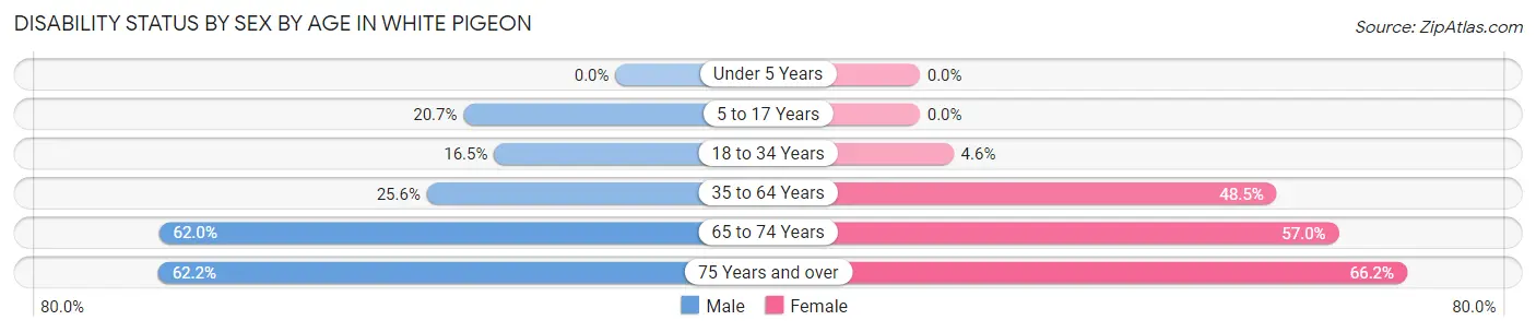 Disability Status by Sex by Age in White Pigeon