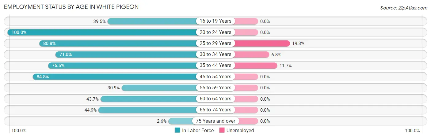 Employment Status by Age in White Pigeon