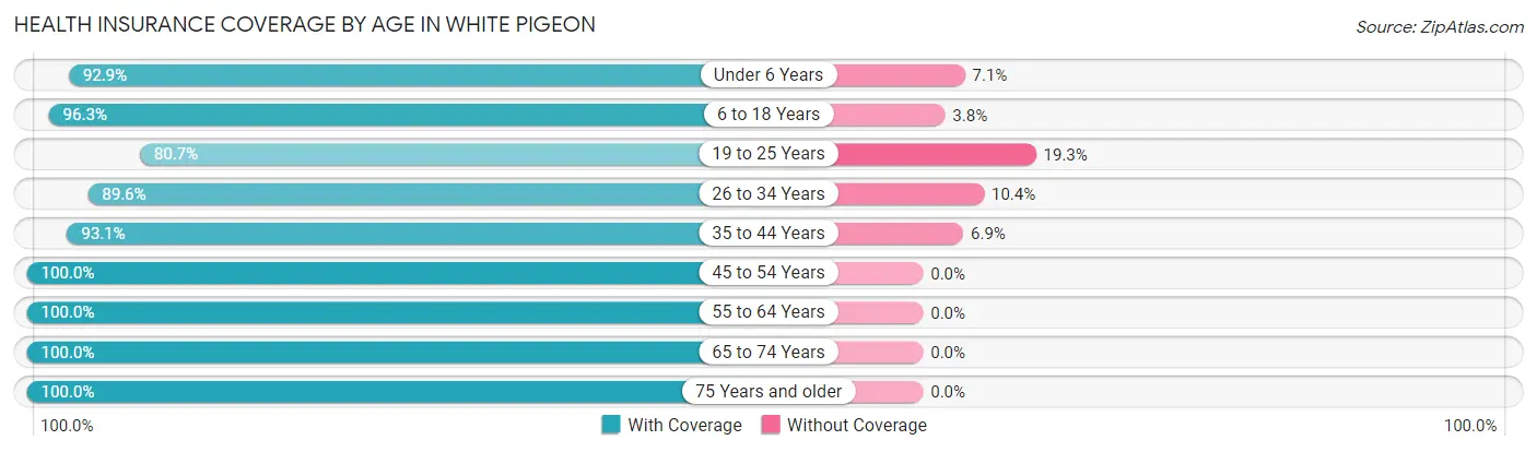 Health Insurance Coverage by Age in White Pigeon