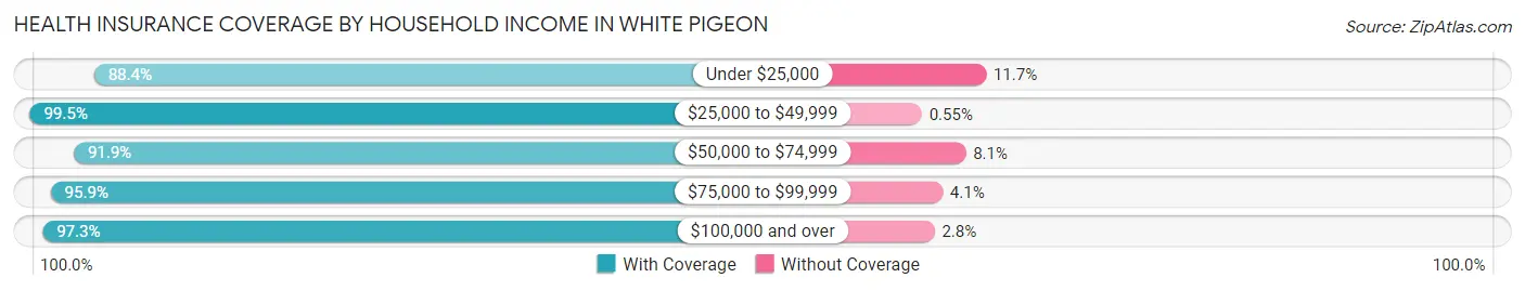Health Insurance Coverage by Household Income in White Pigeon