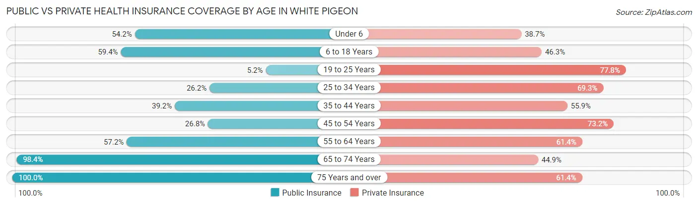 Public vs Private Health Insurance Coverage by Age in White Pigeon