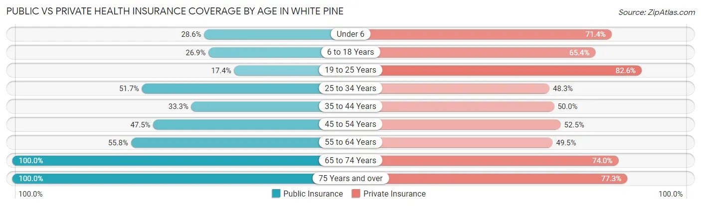 Public vs Private Health Insurance Coverage by Age in White Pine