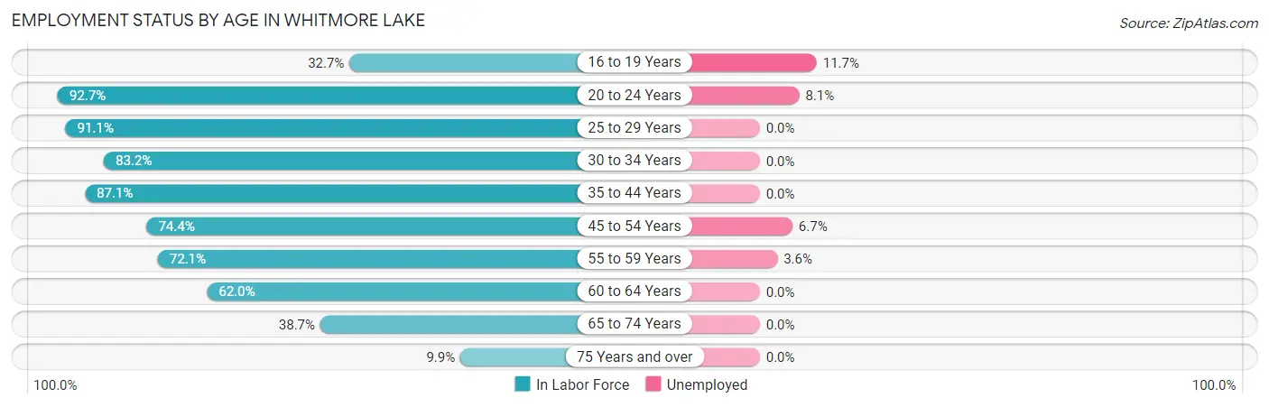 Employment Status by Age in Whitmore Lake