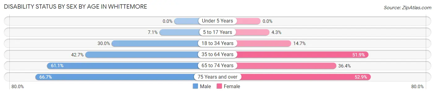 Disability Status by Sex by Age in Whittemore