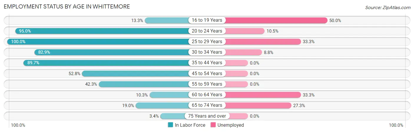 Employment Status by Age in Whittemore