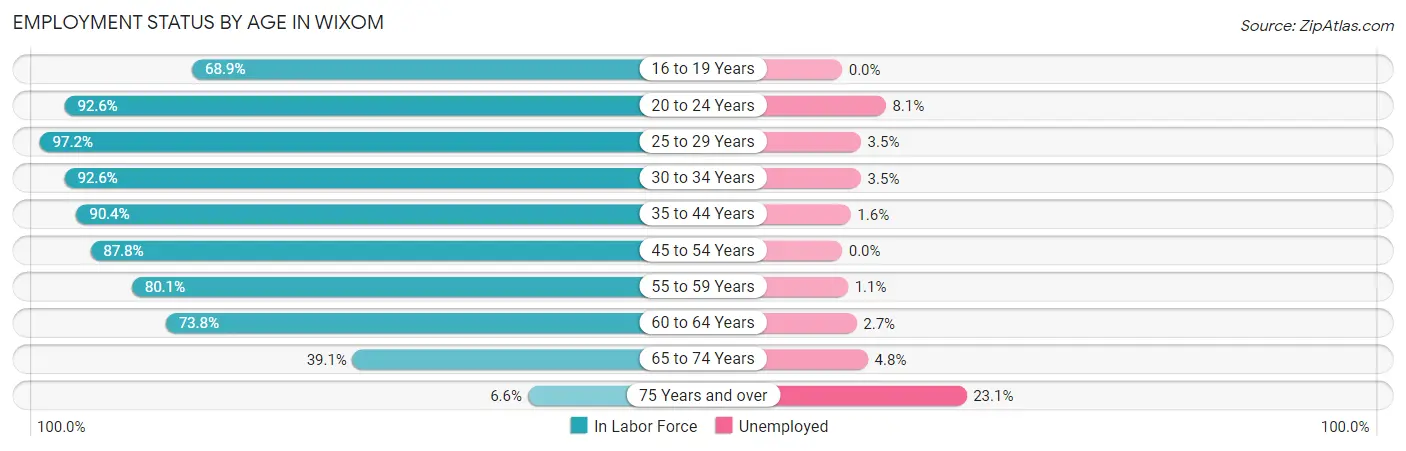 Employment Status by Age in Wixom