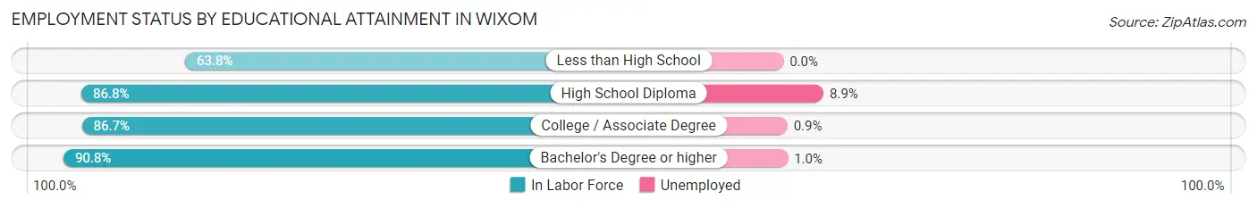 Employment Status by Educational Attainment in Wixom