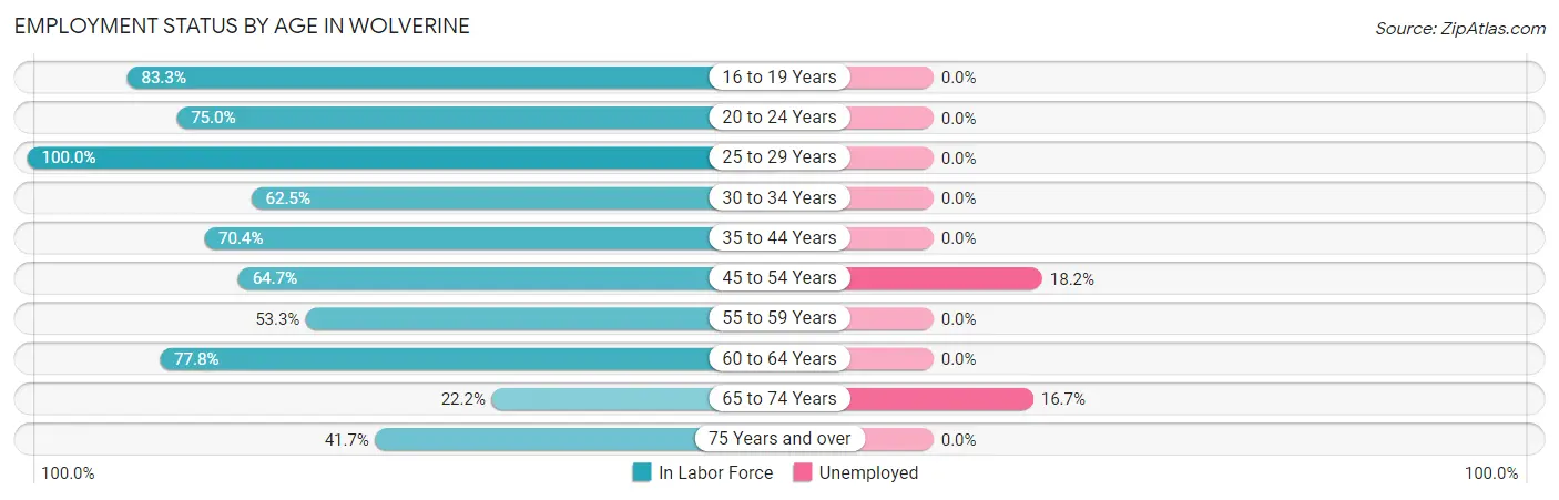 Employment Status by Age in Wolverine