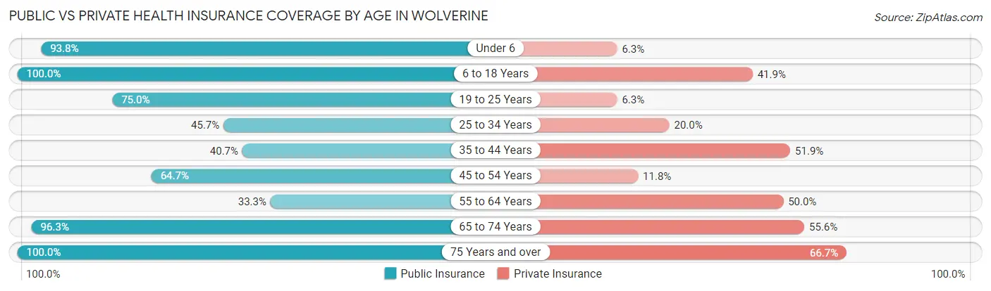 Public vs Private Health Insurance Coverage by Age in Wolverine