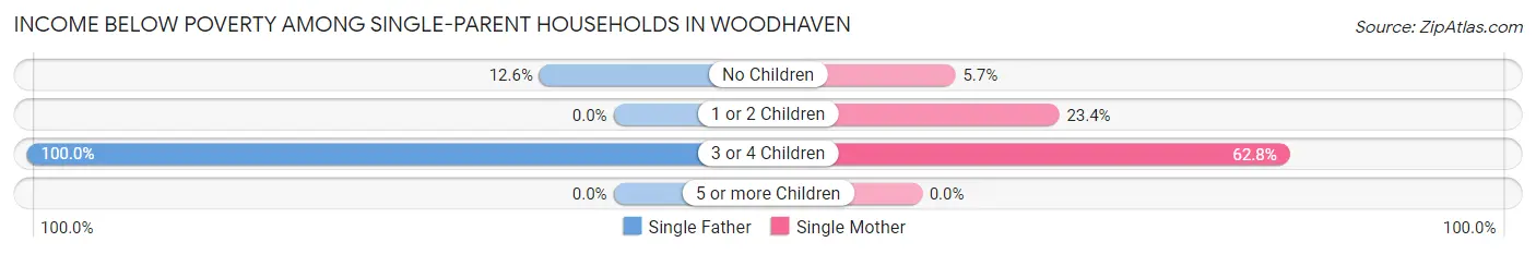Income Below Poverty Among Single-Parent Households in Woodhaven