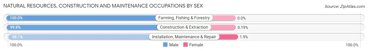 Natural Resources, Construction and Maintenance Occupations by Sex in Wyandotte