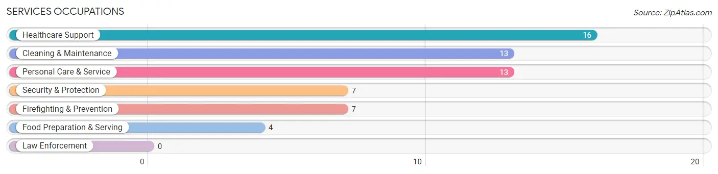 Services Occupations in Adrian