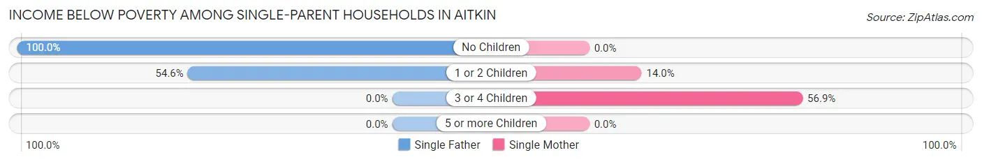 Income Below Poverty Among Single-Parent Households in Aitkin