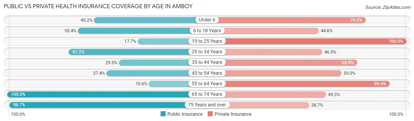 Public vs Private Health Insurance Coverage by Age in Amboy